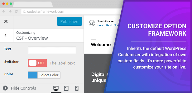 Customizer Option Framework